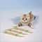 Pure Natural Catnip Molar Stick Interactive Dental Cleaning Toy And Snack 3