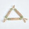 Pure Natural Catnip Molar Stick Interactive Dental Cleaning Toy And Snack 5