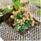 Humane Outdoor Animal Repellent Scat Mat With Protective Prickle Strips 4