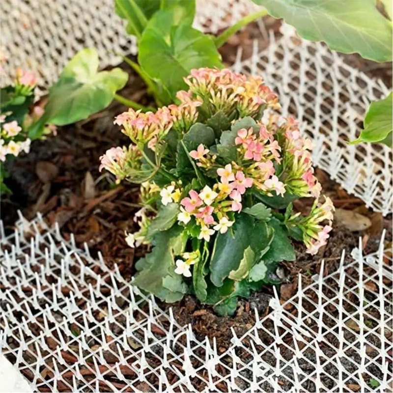 Humane Outdoor Animal Repellent Scat Mat With Protective Prickle Strips 4