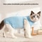 Soft Breathable Cat Recovery Suit For PostSurgery Care Wound Protection 2