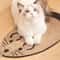 Natural Sisal Fiber Cat Scratching Mat For Indoor Claw Care 3