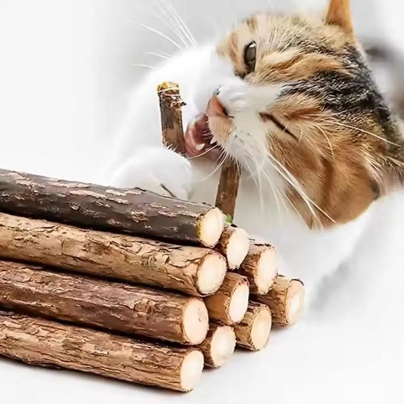Natural Silvervine Molar Sticks For Feline Dental Health Stress Relief 0