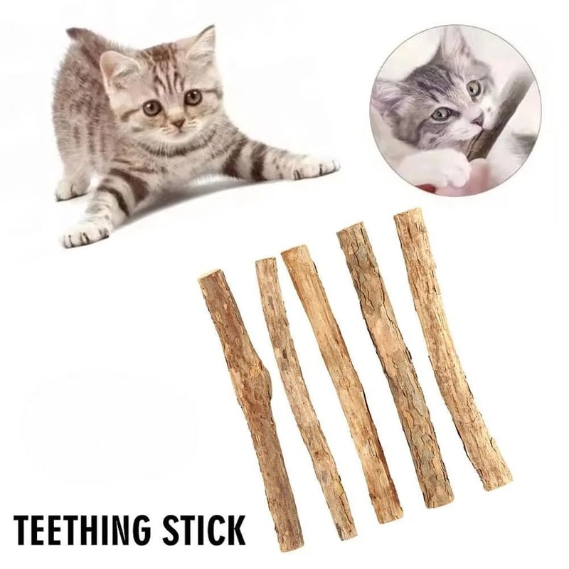 Natural Silvervine Molar Sticks For Feline Dental Health Stress Relief 5