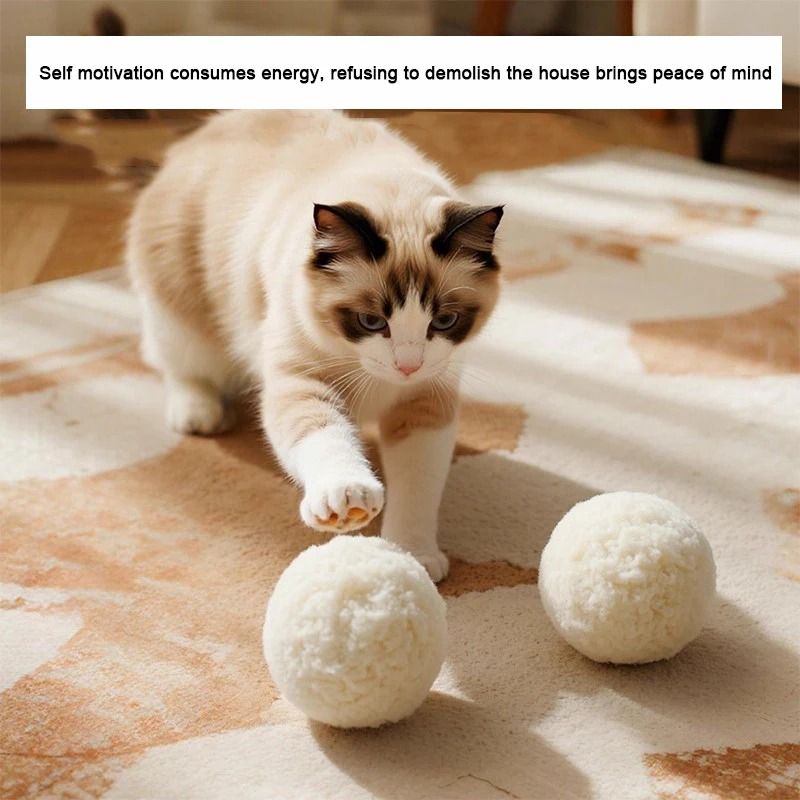 Silent Natural Wool Chasing Balls For Interactive Play Dental Care 5