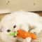 Interactive Carrot Cotton Rope Teething Toy For Healthy Play Dental Care 2