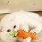 Interactive Carrot Cotton Rope Teething Toy For Healthy Play Dental Care 2