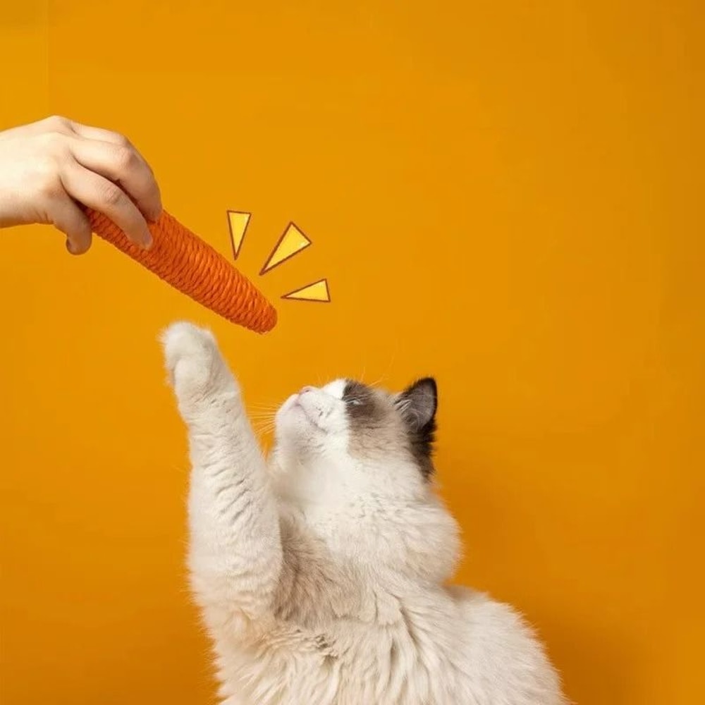 Interactive Carrot Cotton Rope Teething Toy For Healthy Play Dental Care 4