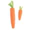 Interactive Carrot Cotton Rope Teething Toy For Healthy Play Dental Care 7