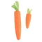 Interactive Carrot Cotton Rope Teething Toy For Healthy Play Dental Care 7