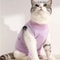 UltraSoft PostSurgery Recovery Suit For Feline Comfort Healing 2