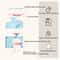 Hanging Automatic Flying Bird Cat Toy With Interactive Elastic Flight 2