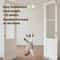 Hanging Automatic Flying Bird Cat Toy With Interactive Elastic Flight 4