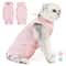 Female Cat Recovery Suit Breathable Spay Onesie 0