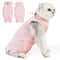 Female Cat Recovery Suit Breathable Spay Onesie 8