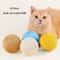 Interactive Sisal Fiber Scratching Ball With Inner Bell 1