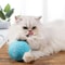 Interactive Sisal Fiber Scratching Ball With Inner Bell 6