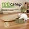 CatnipInfused Sisal Kicker Interactive Molar Scratcher 2