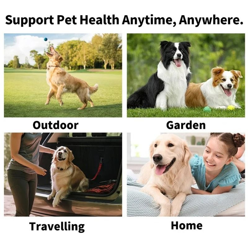 Disposable Pet Oral Cleaning Finger Wipes Effortless Dental Care 5