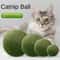 Jumbo Pure Natural Catnip Ball The Ultimate Sensory Experience 0