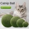 Jumbo Pure Natural Catnip Ball The Ultimate Sensory Experience 0
