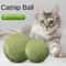 Jumbo Pure Natural Catnip Ball The Ultimate Sensory Experience 1