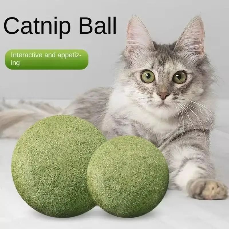 Jumbo Pure Natural Catnip Ball The Ultimate Sensory Experience 1