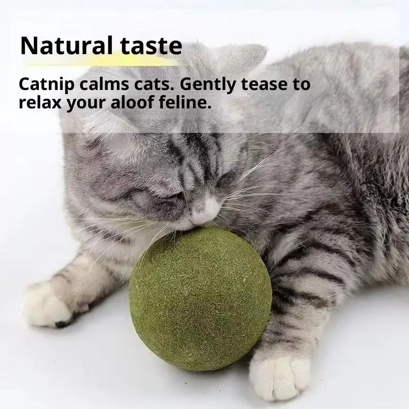 Jumbo Pure Natural Catnip Ball The Ultimate Sensory Experience 3