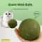 Jumbo Pure Natural Catnip Ball The Ultimate Sensory Experience 4