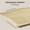 Extra Large Honeycomb DoubleLayer Cat Litter Mat 2