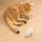 4Pack Mechanical WindUp Plush Mouse Toys 5