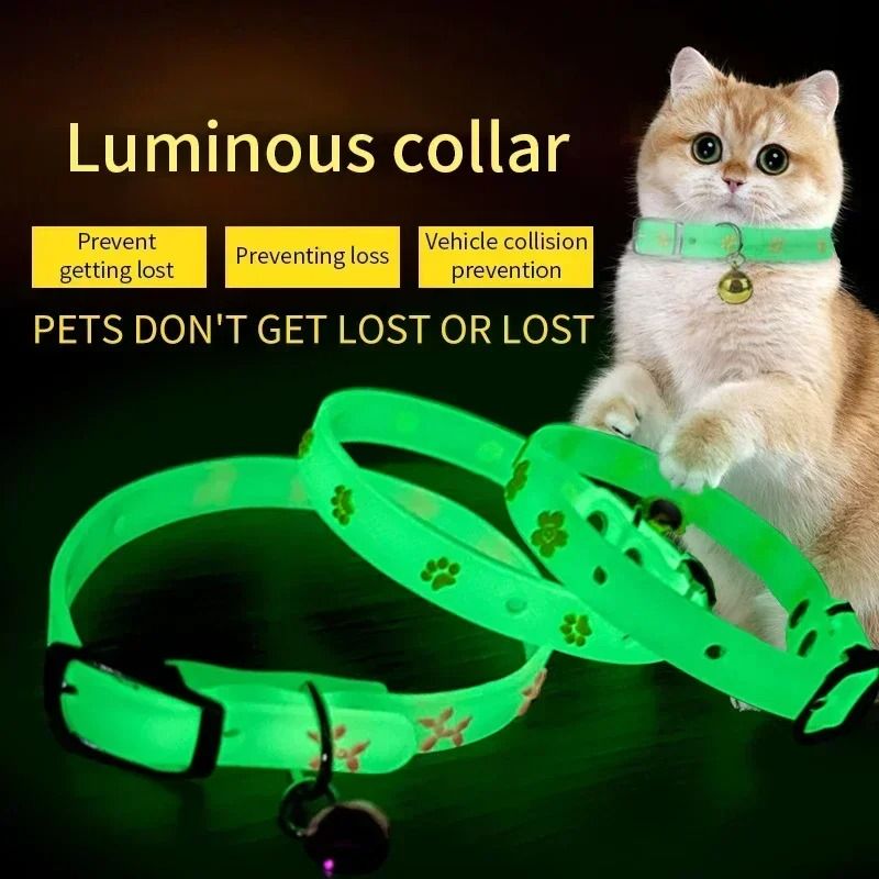 GlowintheDark Fluorescent Silicone Safety Collar 1