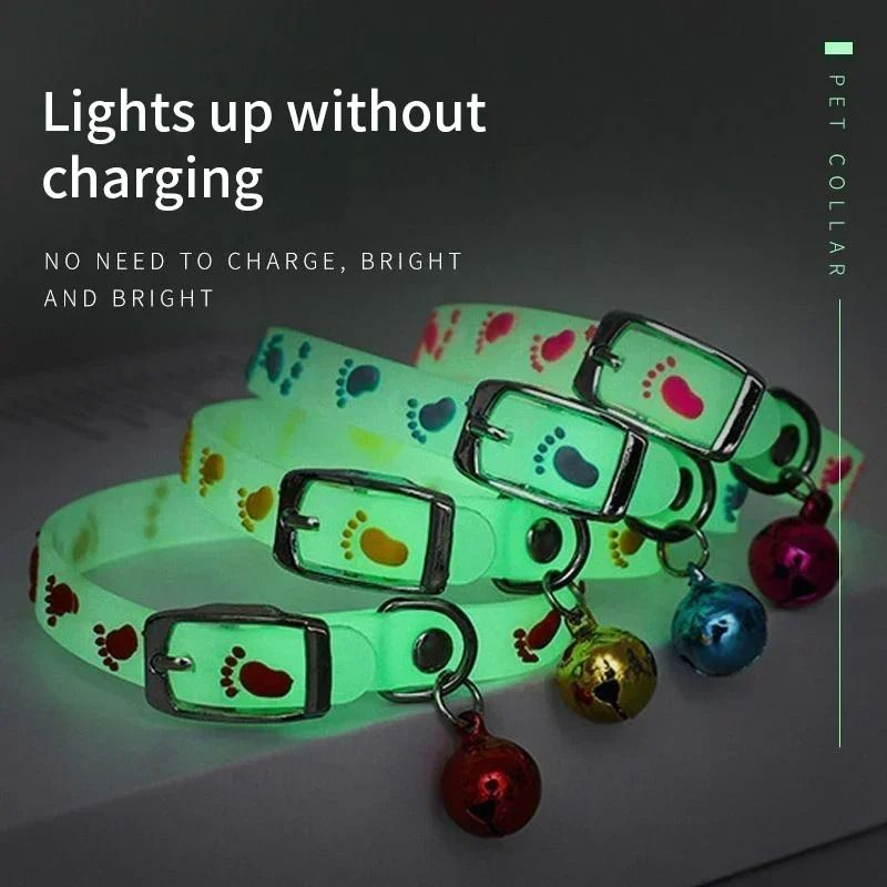 GlowintheDark Fluorescent Silicone Safety Collar 5