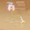 Interactive Rechargeable Hanging Door Bird Toy 4