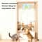 Interactive Rechargeable Hanging Door Bird Toy 6
