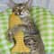 Linen Simulation Fish Kicker Interactive Wrestling Toy 5