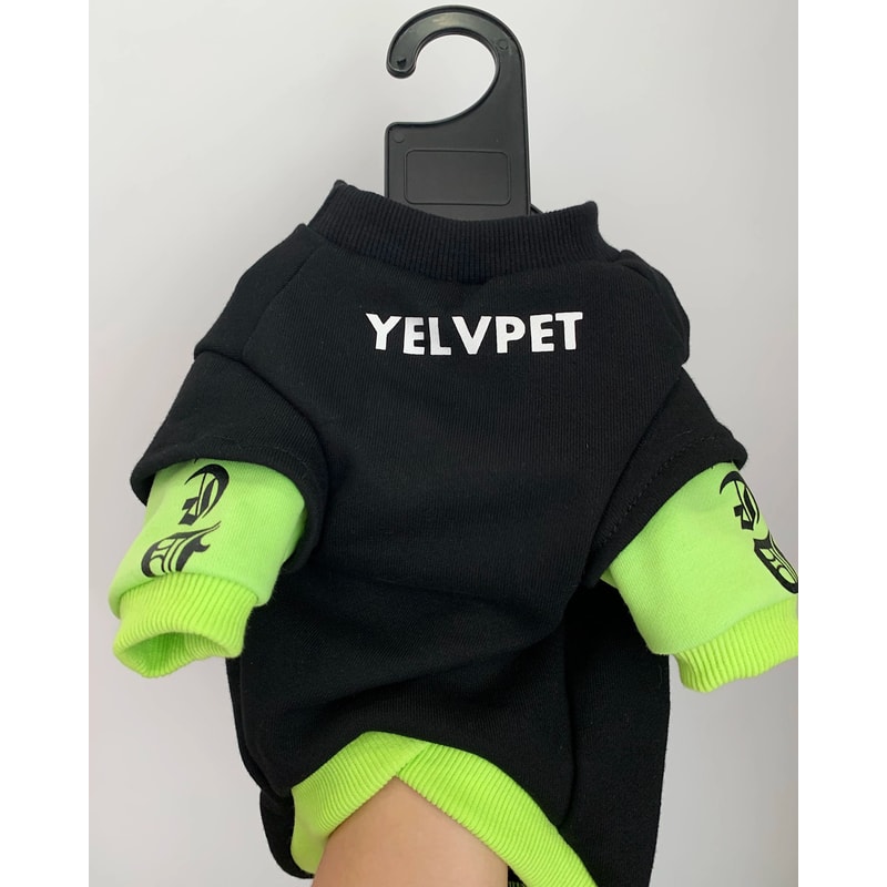 Fashion Cotton Winter Sweatshirt For Sphynx Devon Rex 3