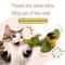 Interactive Wall Hanging Chasing Bird Toy 1