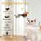 Interactive Wall Hanging Chasing Bird Toy 3