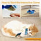 Interactive Wall Hanging Chasing Bird Toy 4
