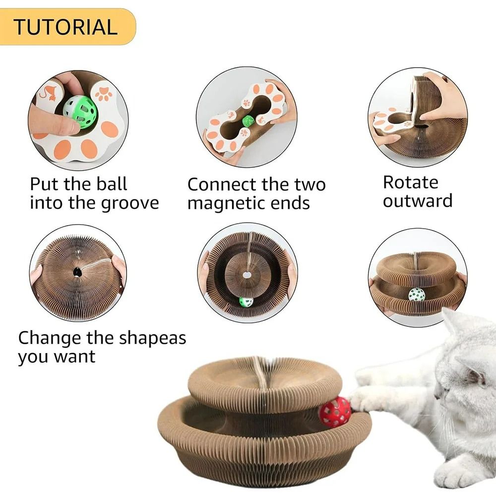 Magic Organ Accordion Cat Scratcher 3