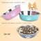 Printed Stainless Steel NonSlip Pet Feeding Bowl 1