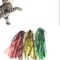 Colorful Ribbon Interactive Cat Teaser Wand 3