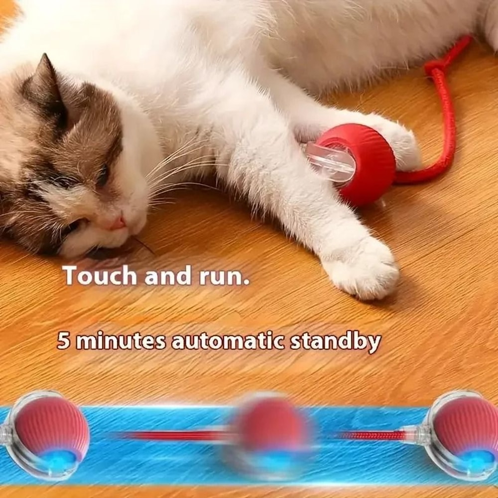 Smart Electric Automatic Rolling Ball With Tail Teaser 1