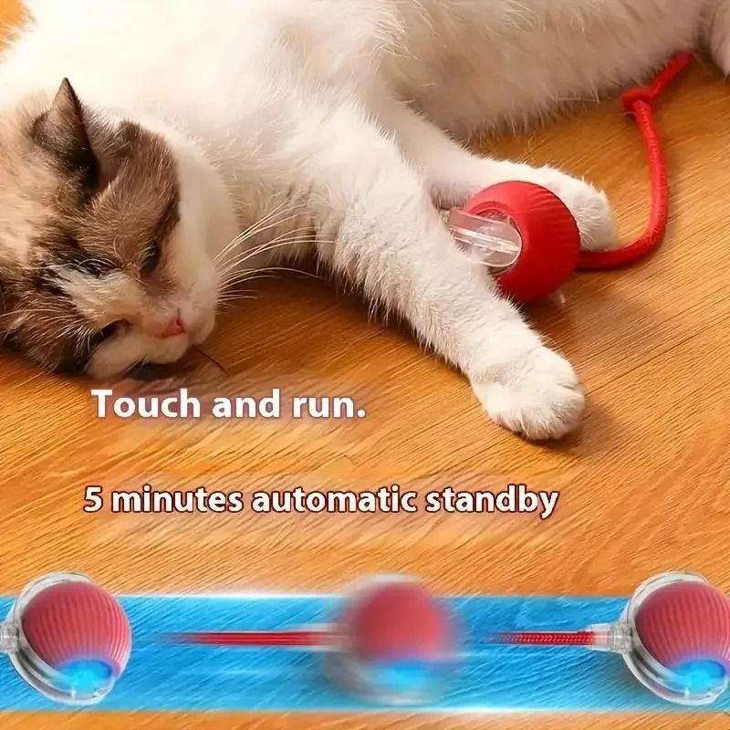 Smart Electric Automatic Rolling Ball With Tail Teaser 1