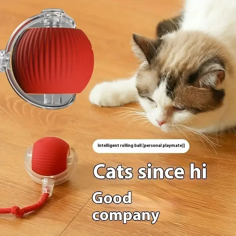 Smart Electric Automatic Rolling Ball With Tail Teaser 2