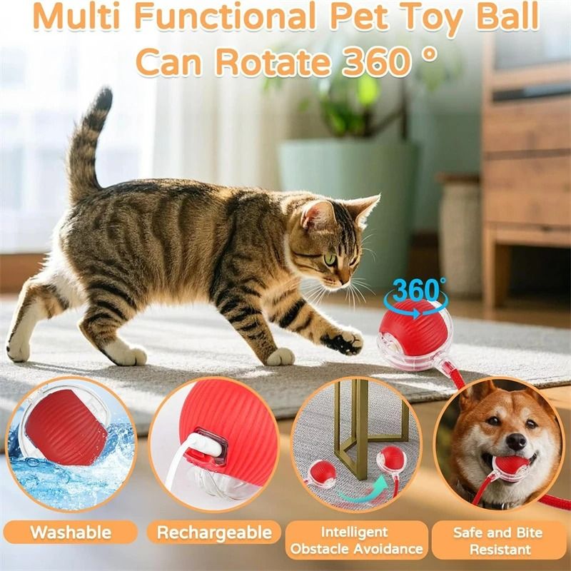 Smart Electric Automatic Rolling Ball With Tail Teaser 4