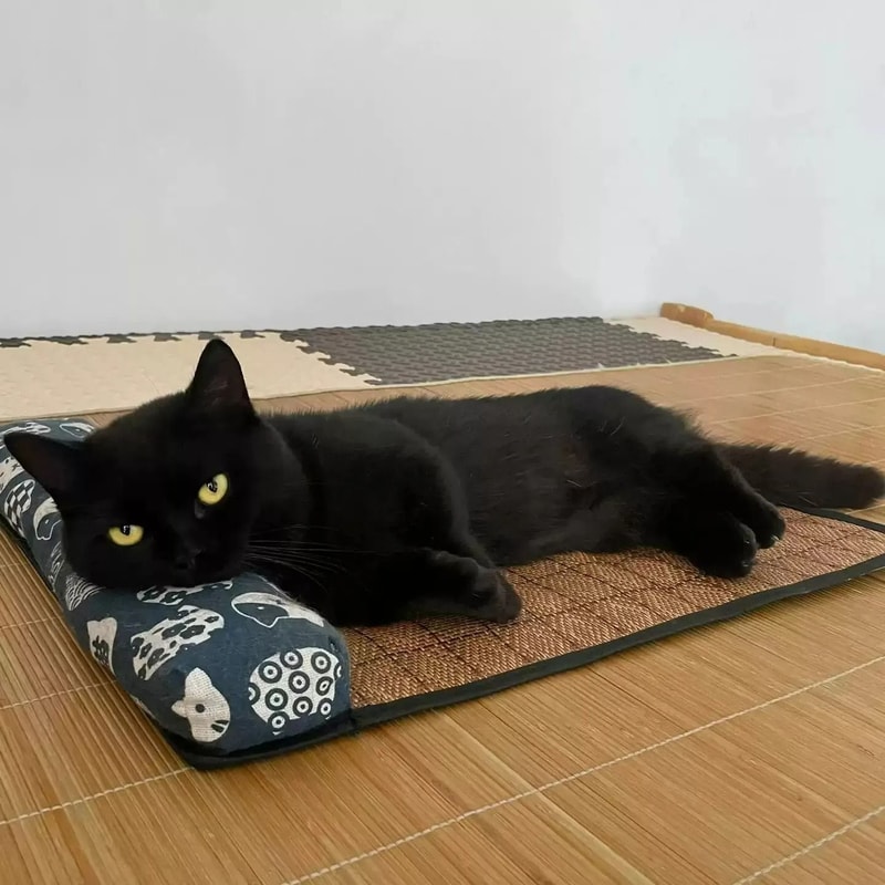 Natural Rattan Weave Summer Cooling Mat 1