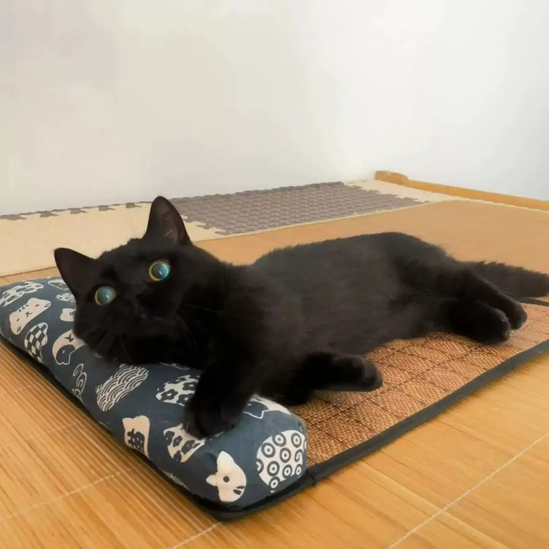 Natural Rattan Weave Summer Cooling Mat 2