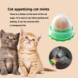 nutritional catnip & fish gel energy licking candy